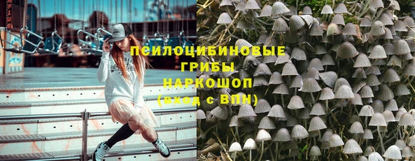 крисы Каменск-Шахтинский